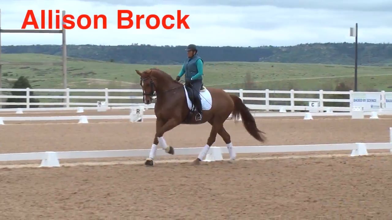 Swing - Trot | Allison Brock | PART 01