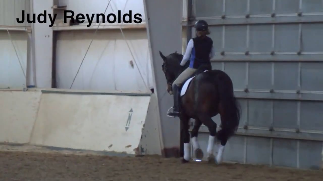Trot Half Pass | Judy Reynolds | PART 03