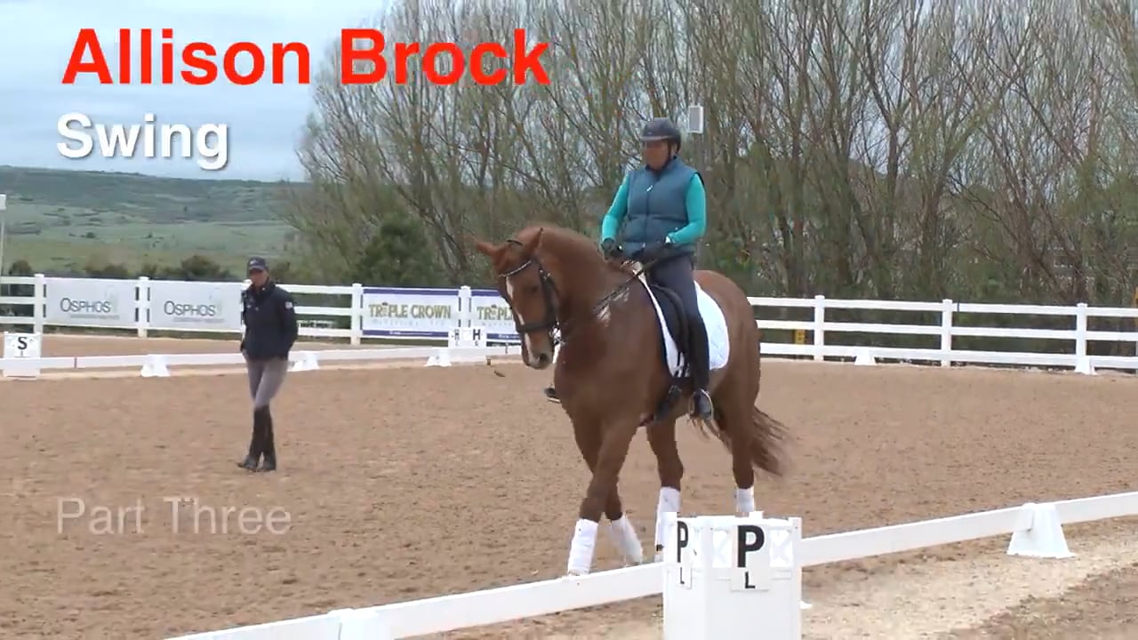 Swing - Canter | Allison Brock | PART 03
