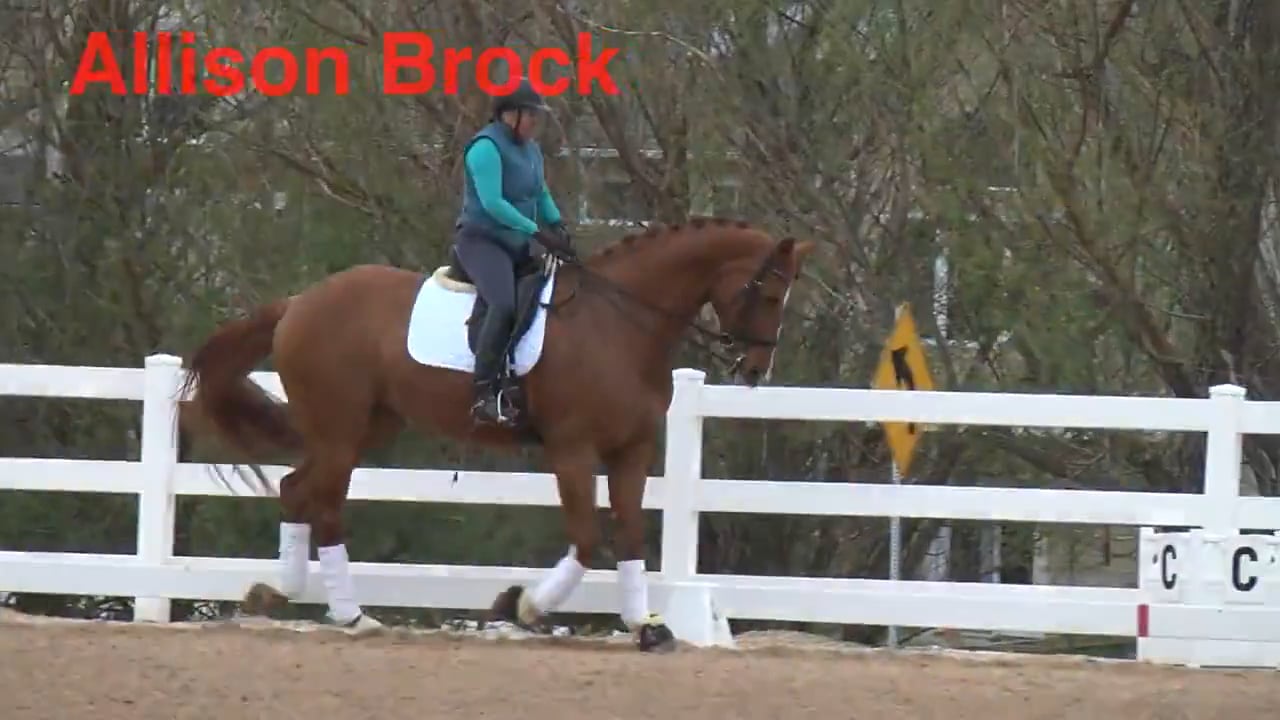 Swing - Riding Through Resistance | Allison Brock | PART 02