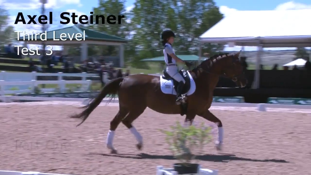 Third Level Test Three - Warm Up | Axel Steiner | PART 01