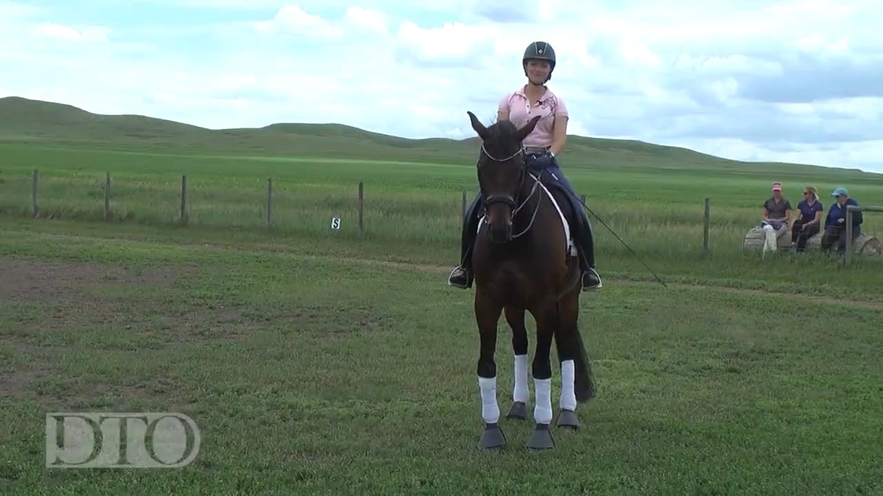 Training Challenges | Mimi Stanley | INTRO