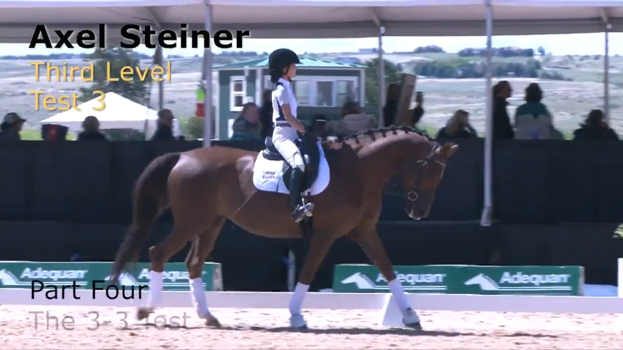 Third Level Test Three - Test Again | Axel Steiner | Part 04