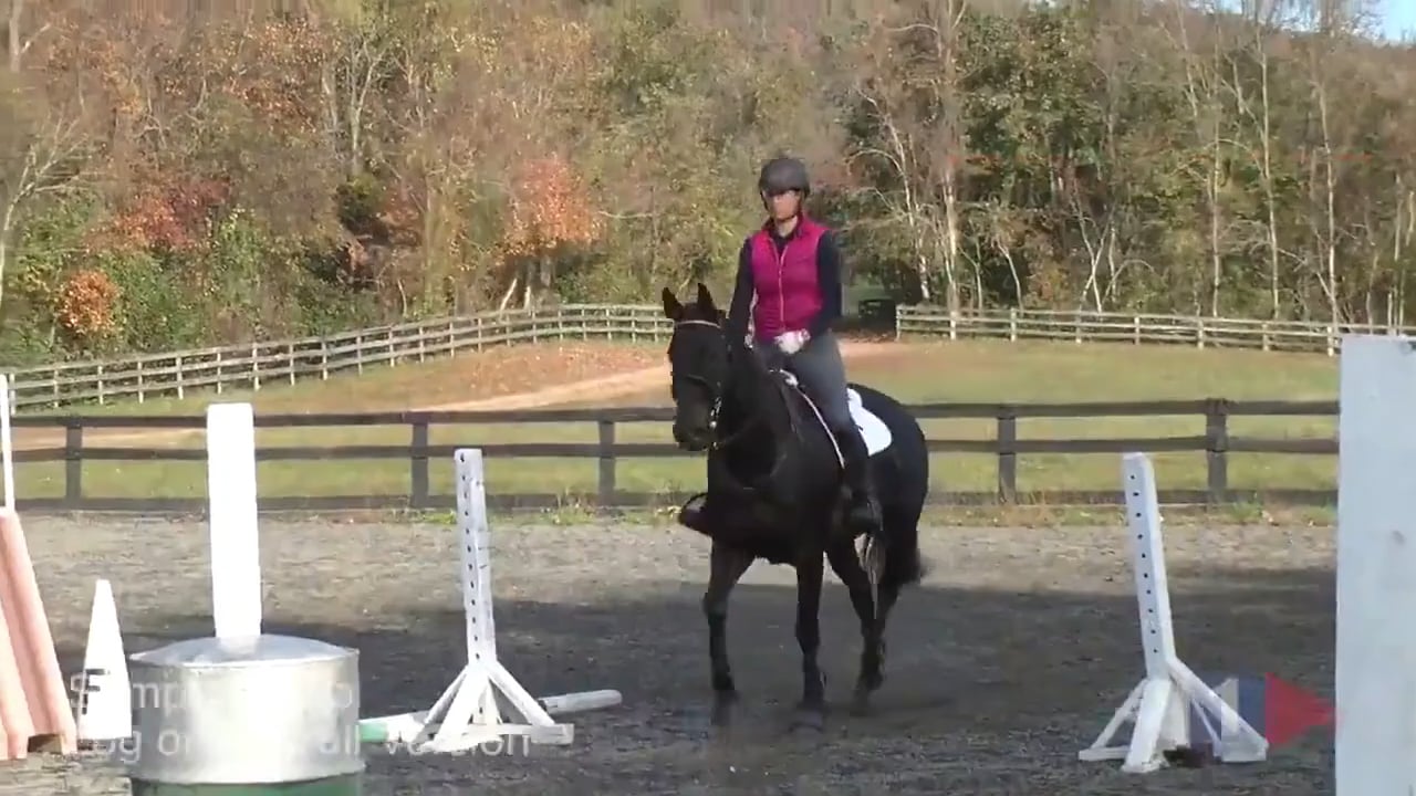 Jumping Fundamentals | William Micklem | TRAILER