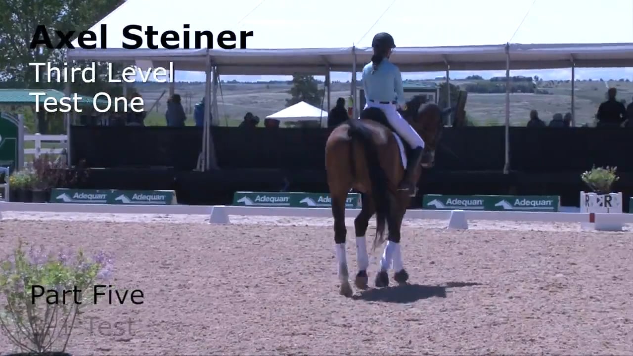 Third Level Test 1 | Axel Steiner | PART 05