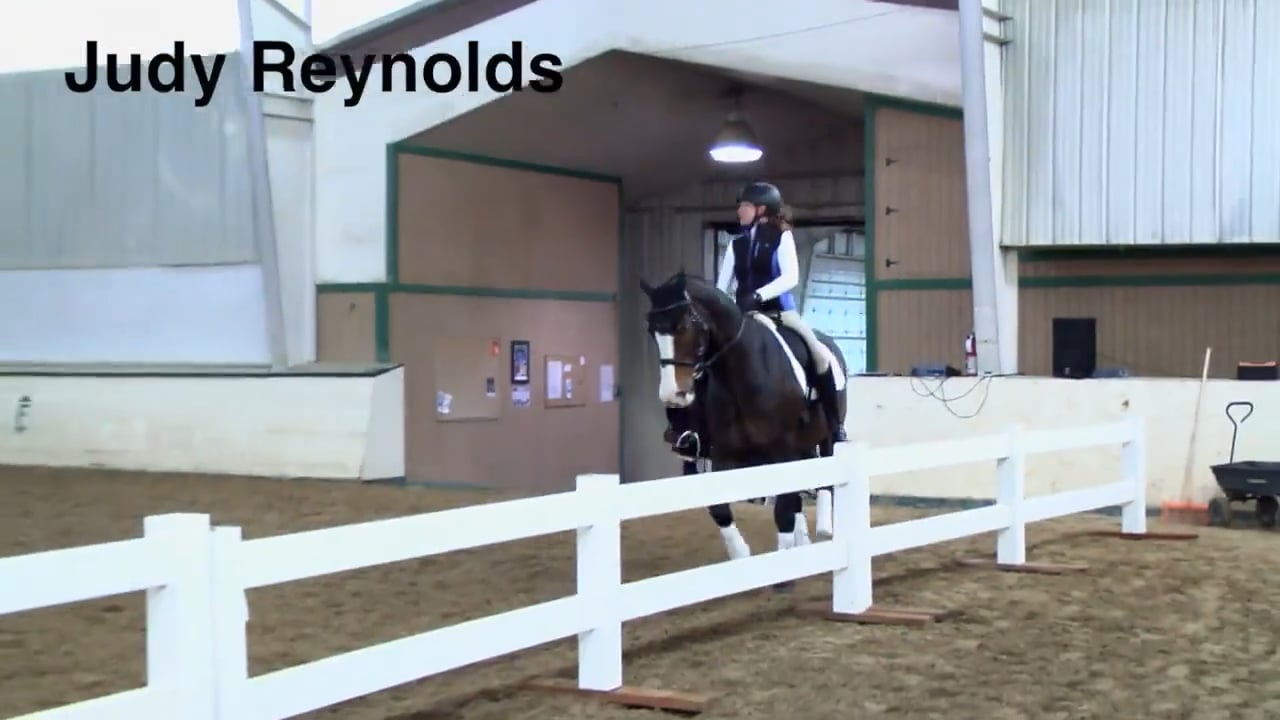 Trot Half Pass | Judy Reynolds | INTRO