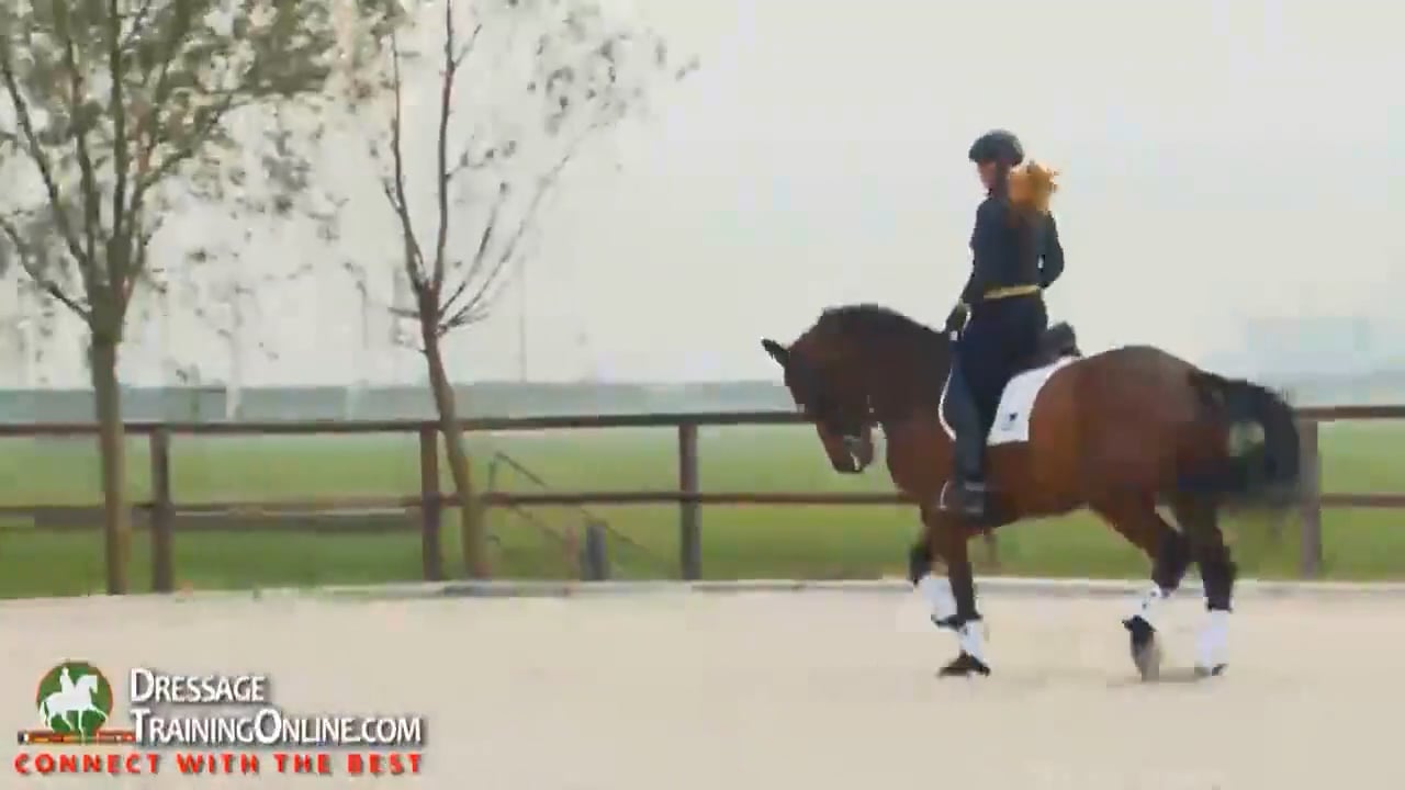 Tempo, Reaction, Transitions, and Flying Changes | Lotje Schoots | PART 03