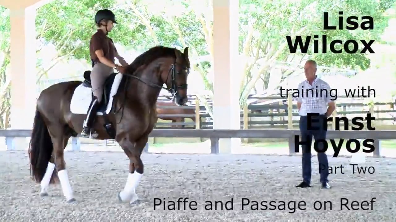 Training with Ernst Hoyos - Piaffe and Passage | Lisa Wilcox | PART 02