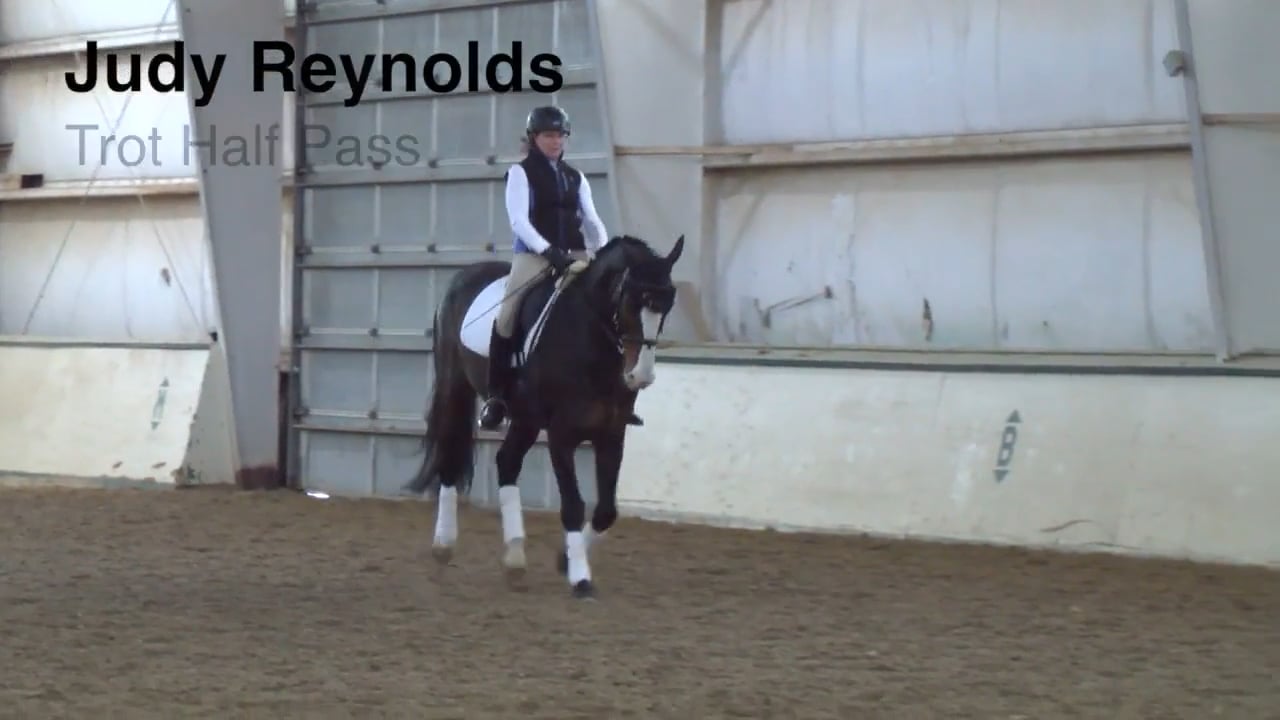 Trot Half Pass | Judy Reynolds | Part 01