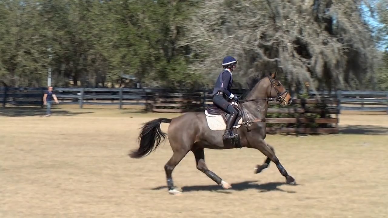 Phillip Dutton – Upper Level Spring Cross Country School 2 – Trailer