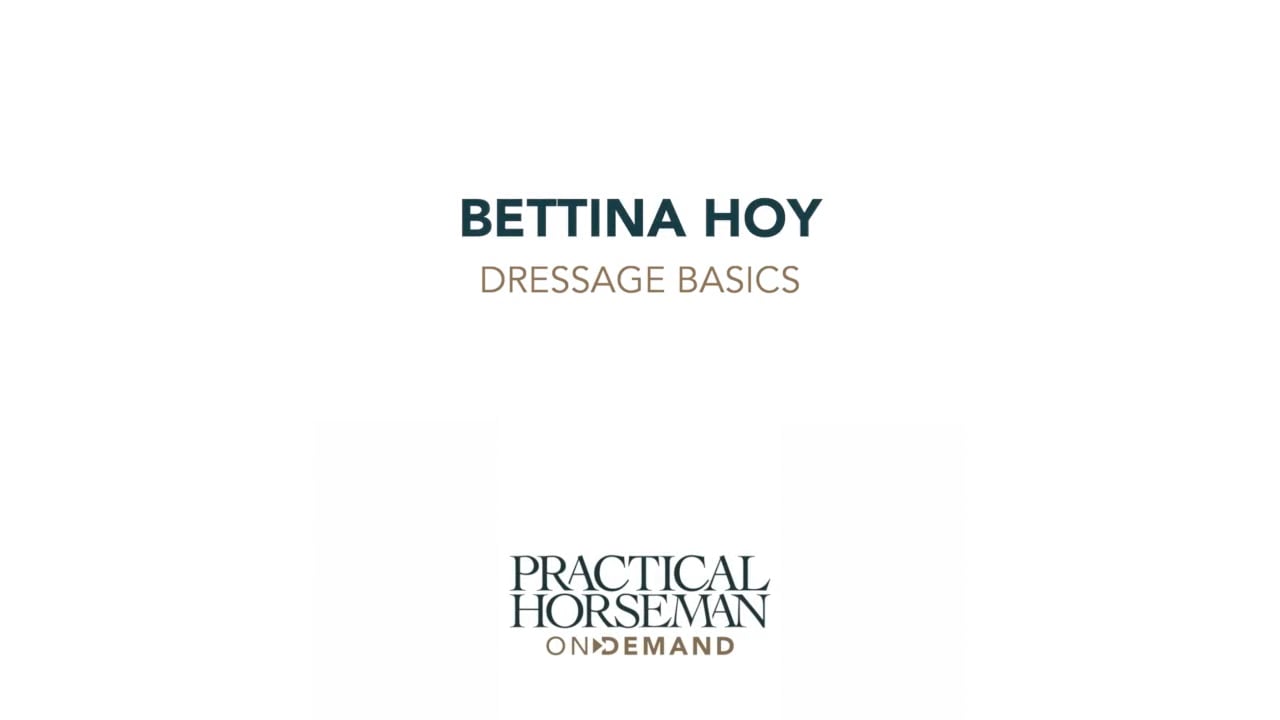 Dressage Basics - Trailer