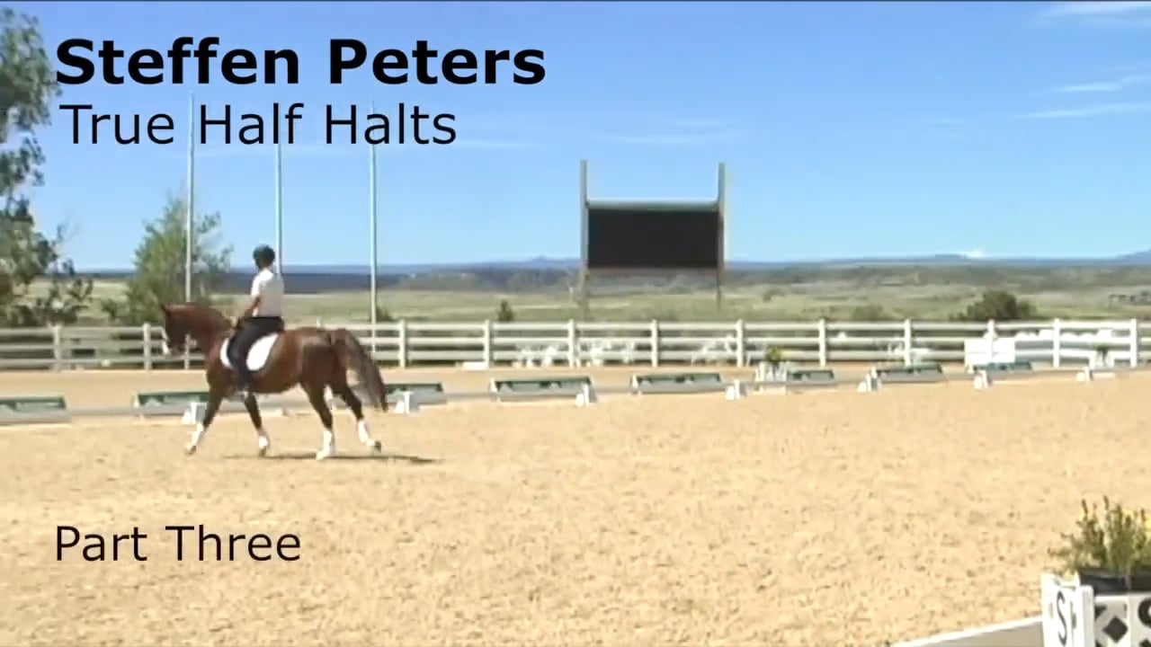 True Half Halts | Steffen Peters | PART 03