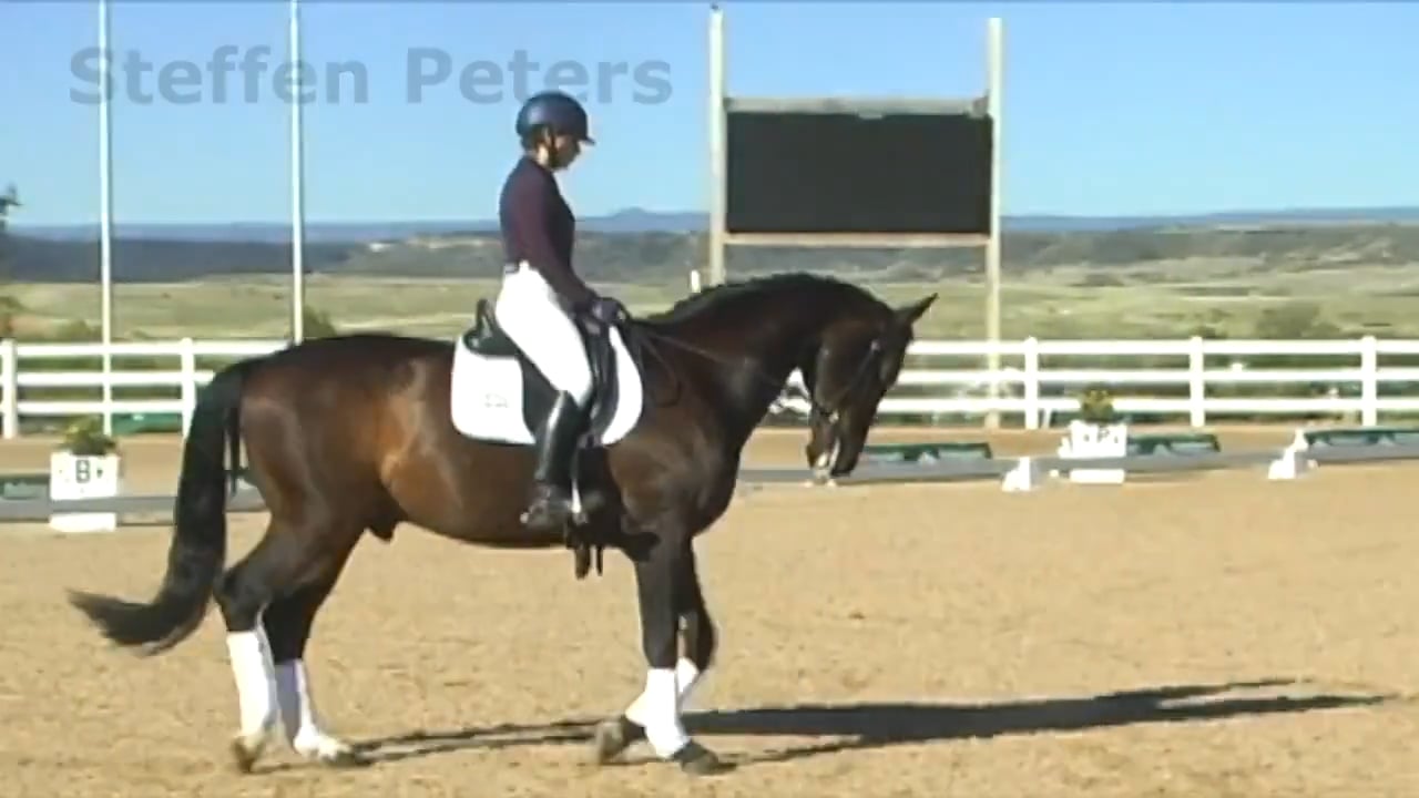 Tools for Spooking | Steffen Peters | PART 03