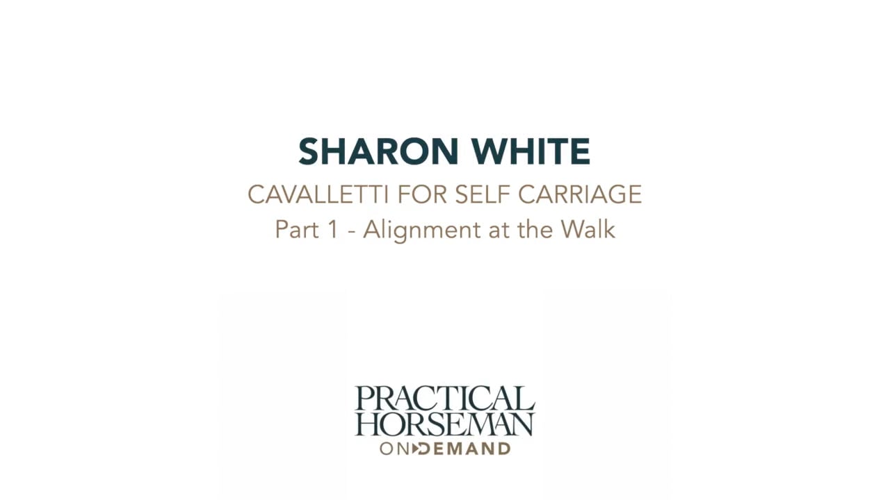 Cavalletti for Self-Carriage - Part 1