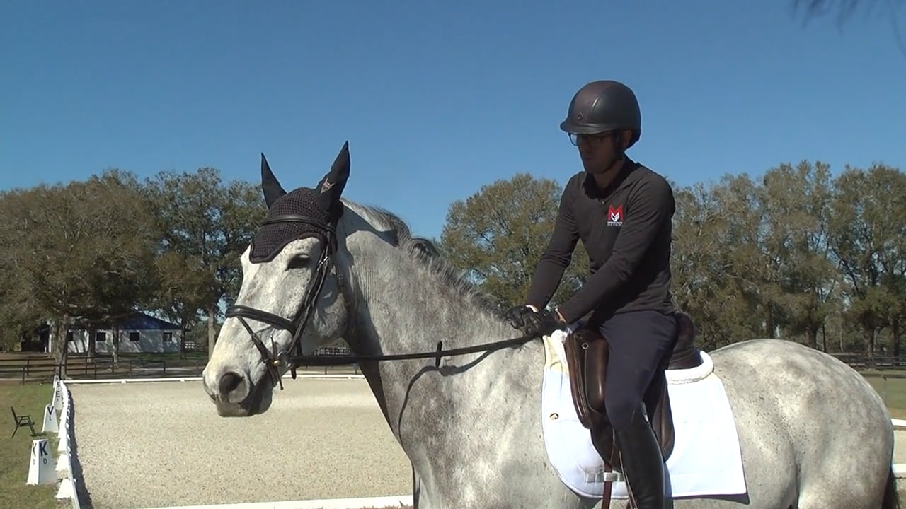 Trailer—Caroline Pamukcu Eventing—Preparing for Spring Horse Trials—Dressage