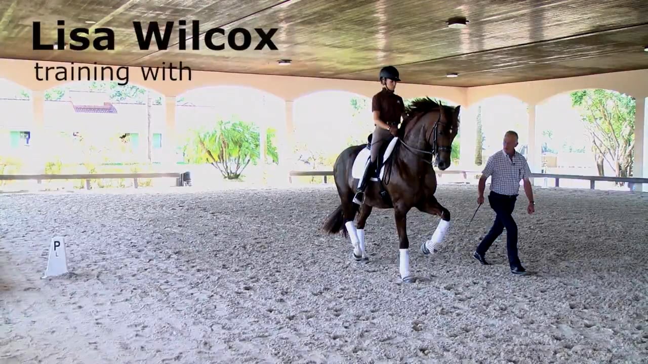 Training with Ernst Hoyos - Saddle Fit | Lisa Wilcox | INTRO