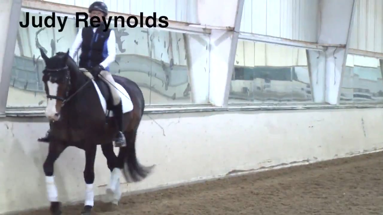 Trot Half Pass | Judy Reynolds | PART 04