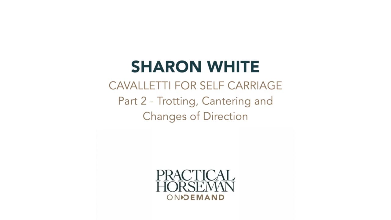 Cavalletti for Self-Carriage - Part 2