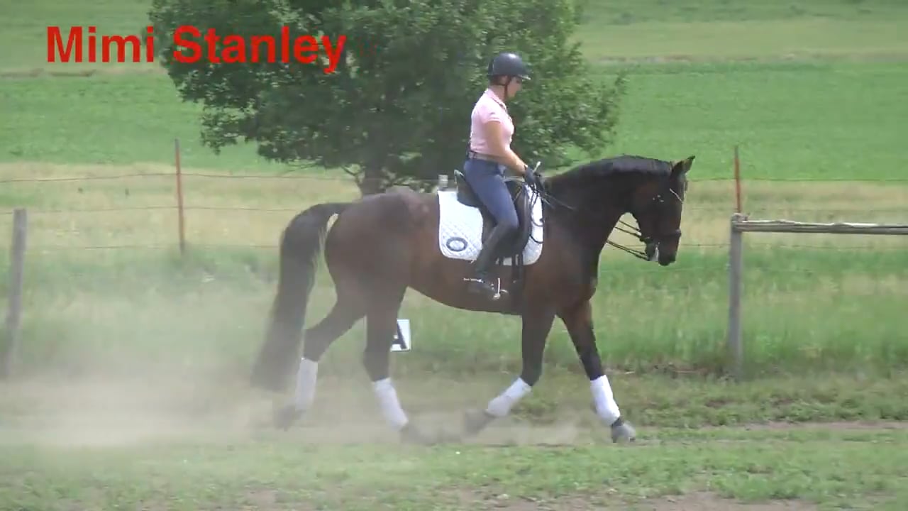 Training Challenges | Mimi Stanley | PART 02