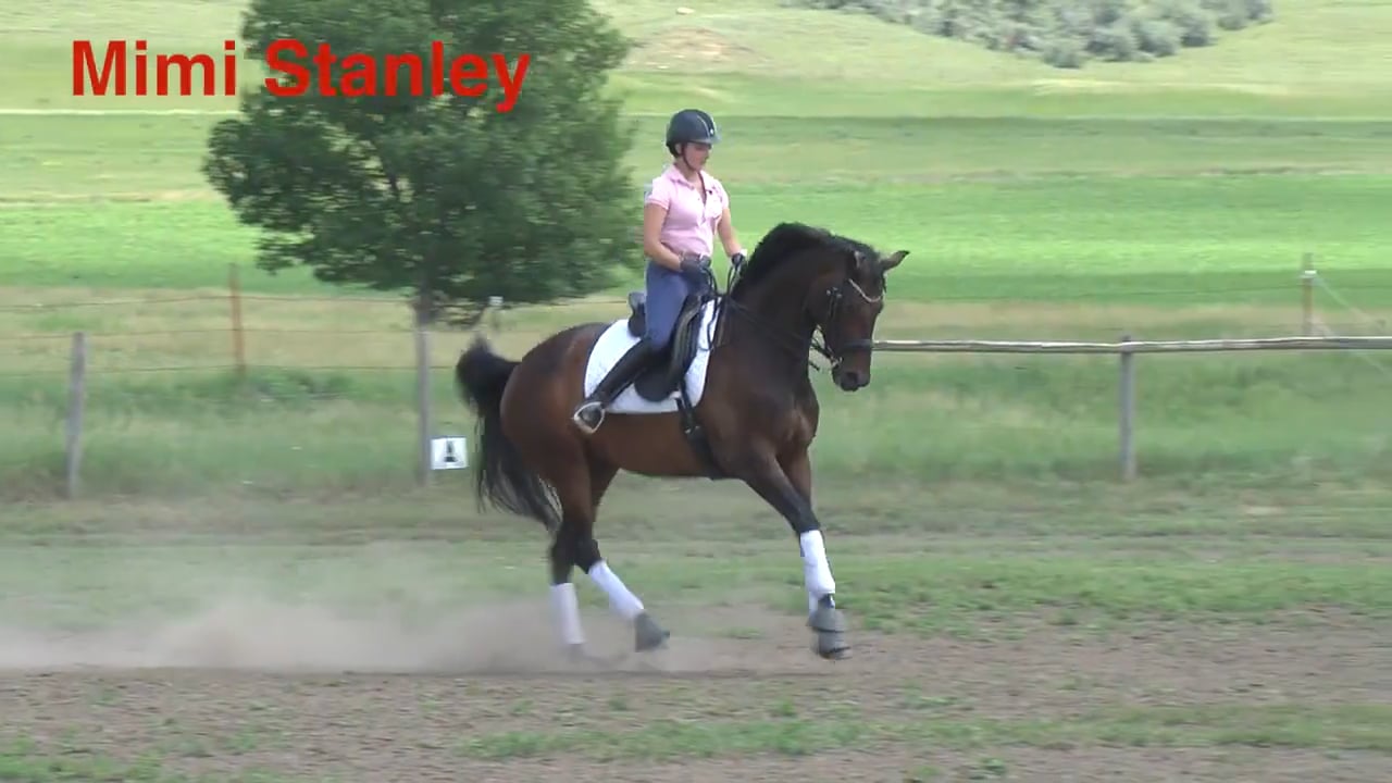 Training Challenges | Mimi Stanley | PART 01