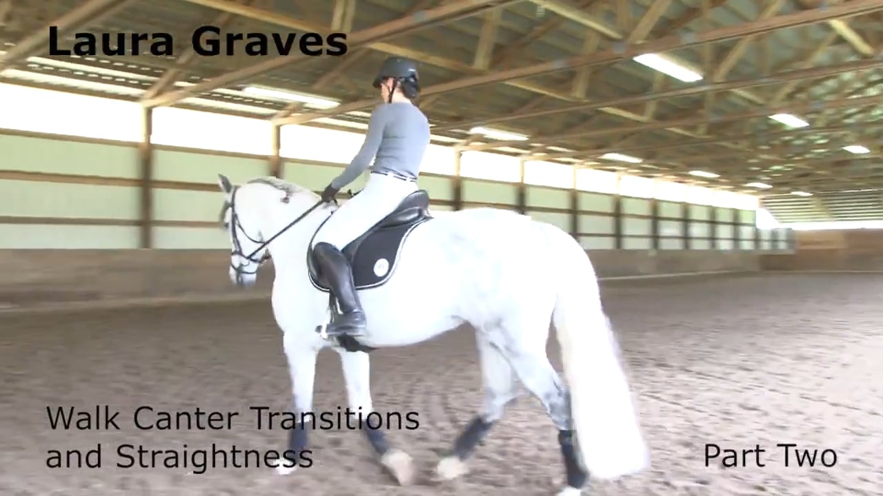 Walk Canter Transitions and Straightness | Laura Graves | PART 02