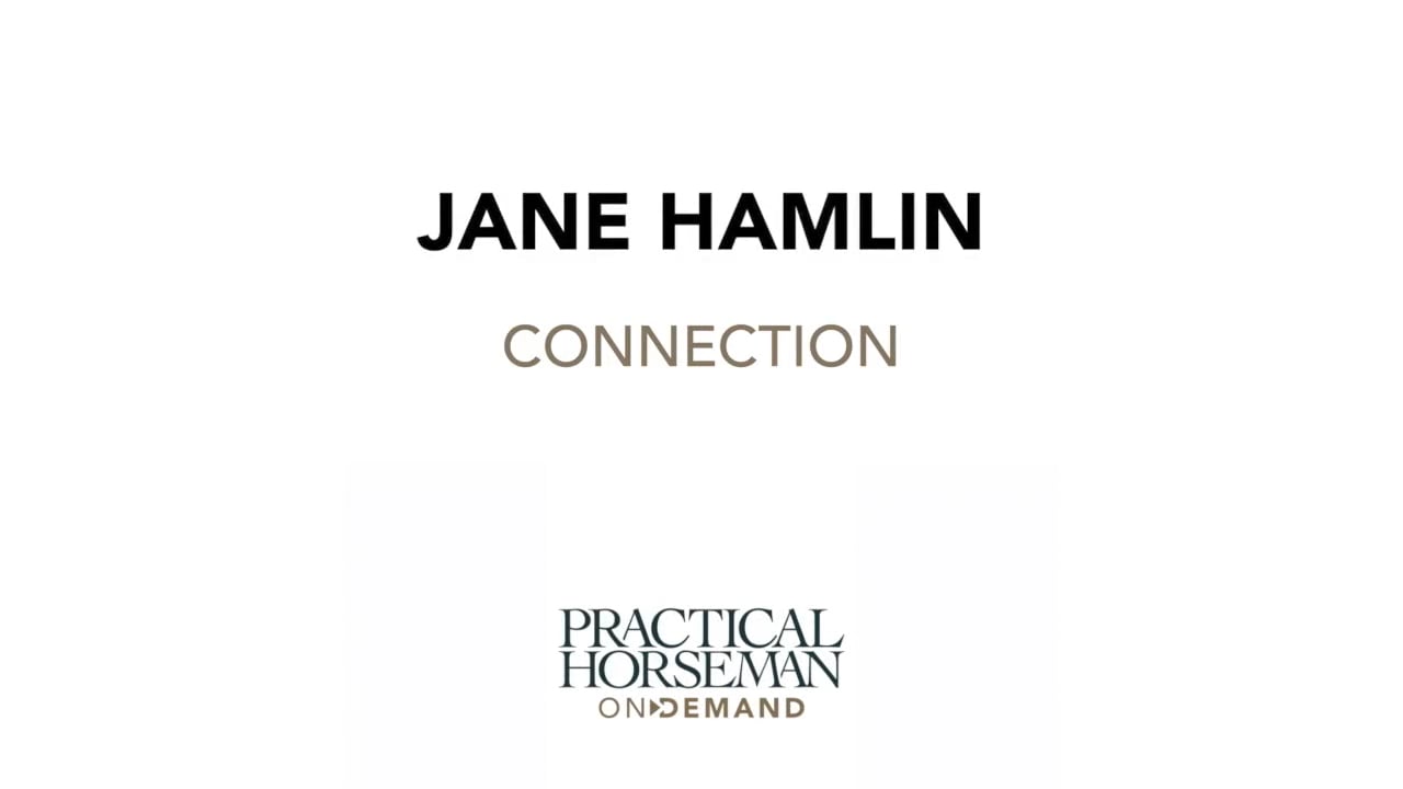 Connection | Jane Hamlin | TRAILER