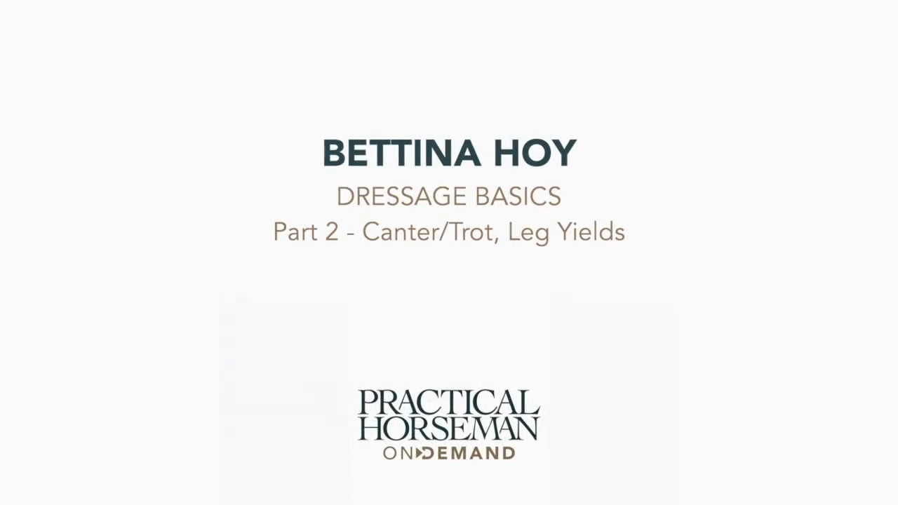 Dressage Basics | Bettina Hoy | PART 02