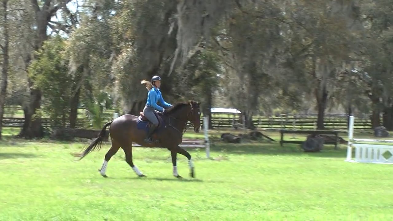 Kyle Carter – Progressive Jumping Exercises – Trailer Parts 3–5