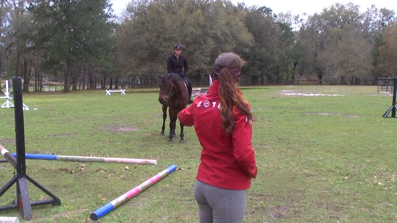 Stadium Jumping – Single Fences | Ashley Johnson | PART 05