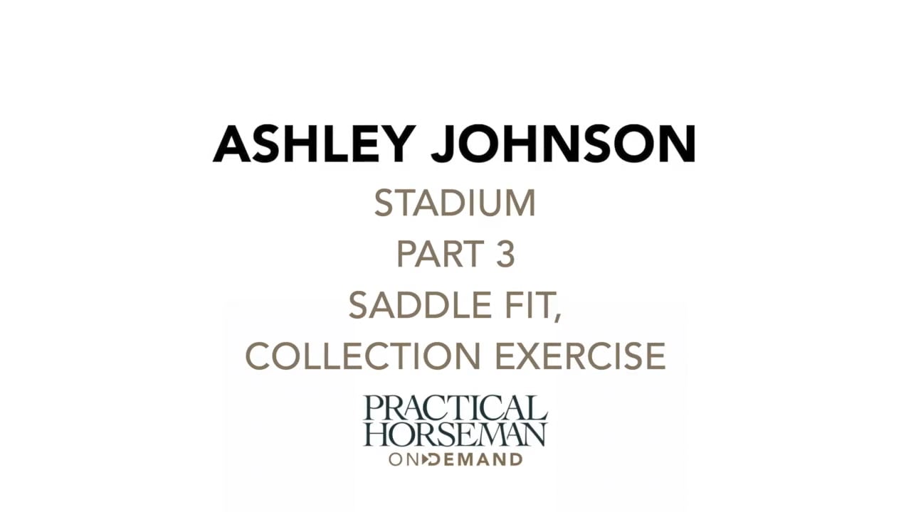 Stadium Jumping - Saddle Fit, Collection Exercise | Ashley Johnson | PART 03