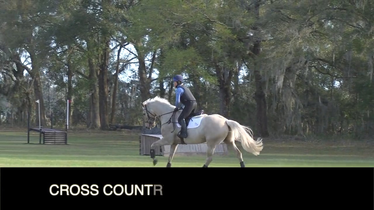 Novice Cross-Country Schooling | Robin Walker | TRAILER