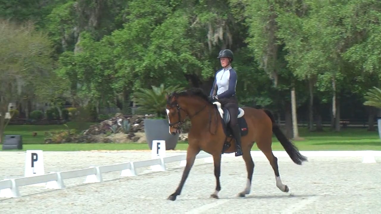 Second Level Test 3 Ride-a-Test | Jodi Ely | TRAILER