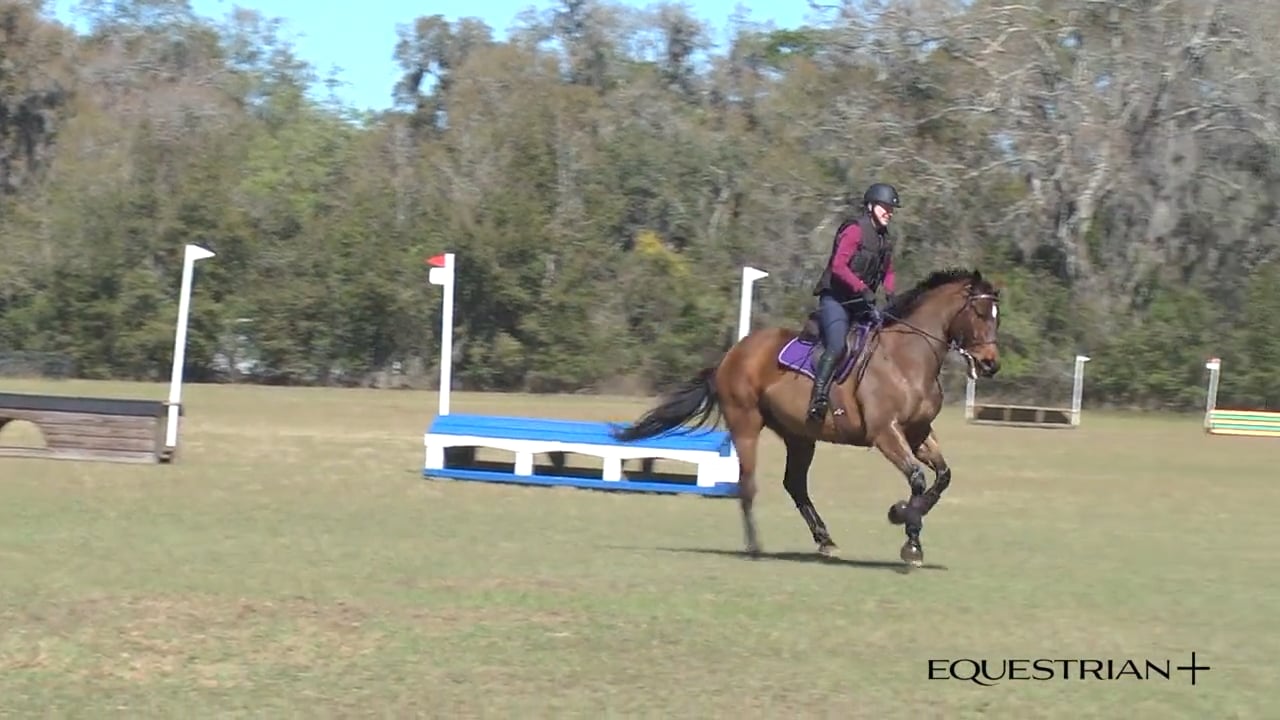 Beginner Novice & Novice Cross-Country Schooling 2 | Ashley Johnson | TRAILER