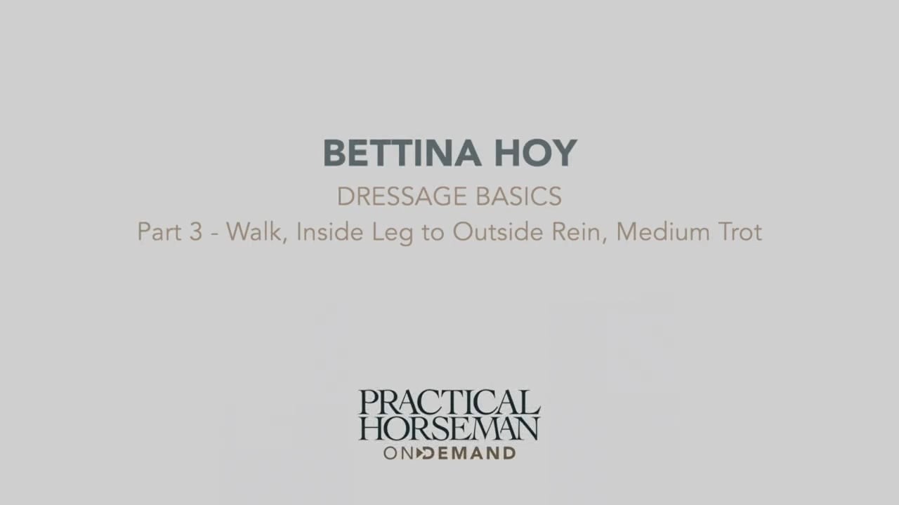 Dressage Basics | Bettina Hoy | PART 03