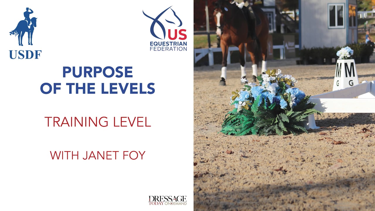 2023 Purpose of the Levels - Training Level | Janet Foy