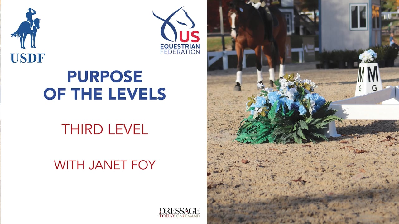 2023 Purpose of the Levels - Third Level | Janet Foy