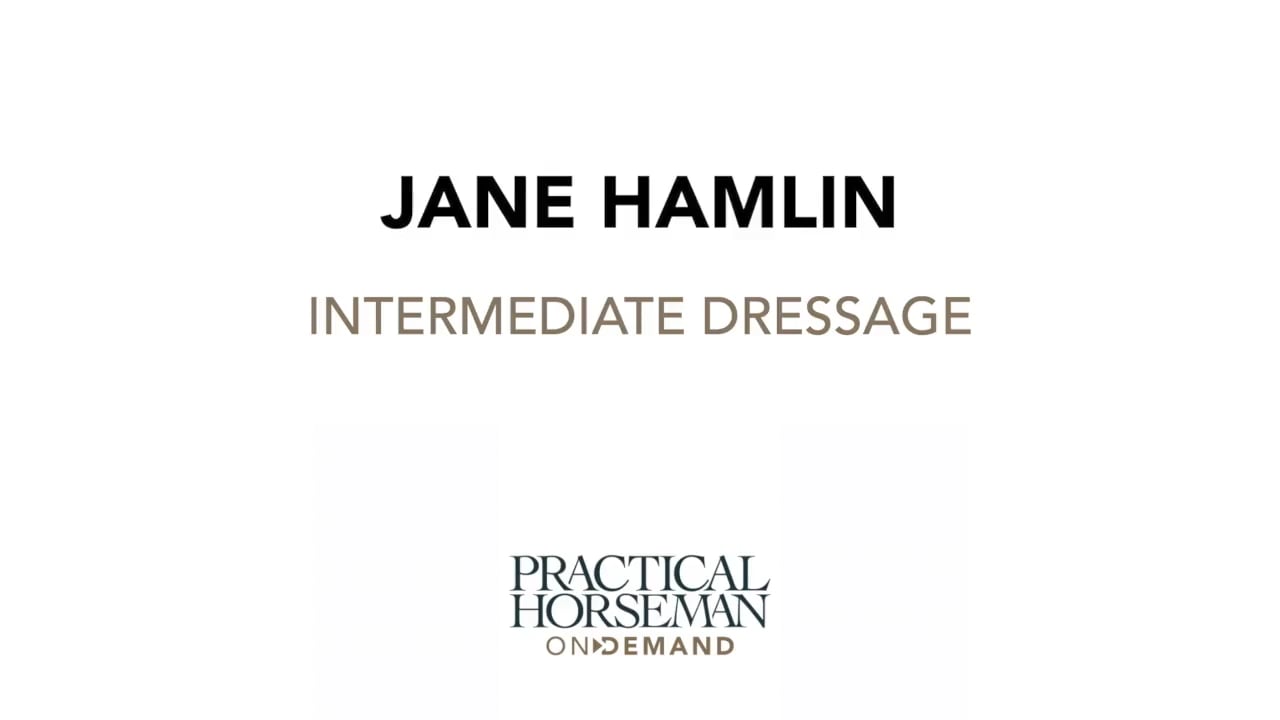 Intermediate Eventing Dressage | Jane Hamlin