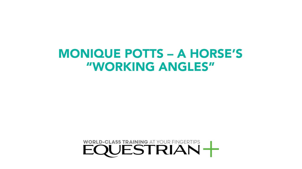 A Horse's "Working Angles" | Monique Potts