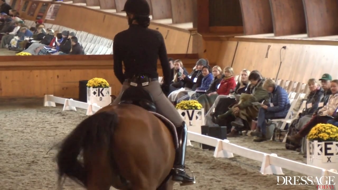 Symposium: Day 1, Intermediaire I/II | Steffen Peters & Scott Hassler