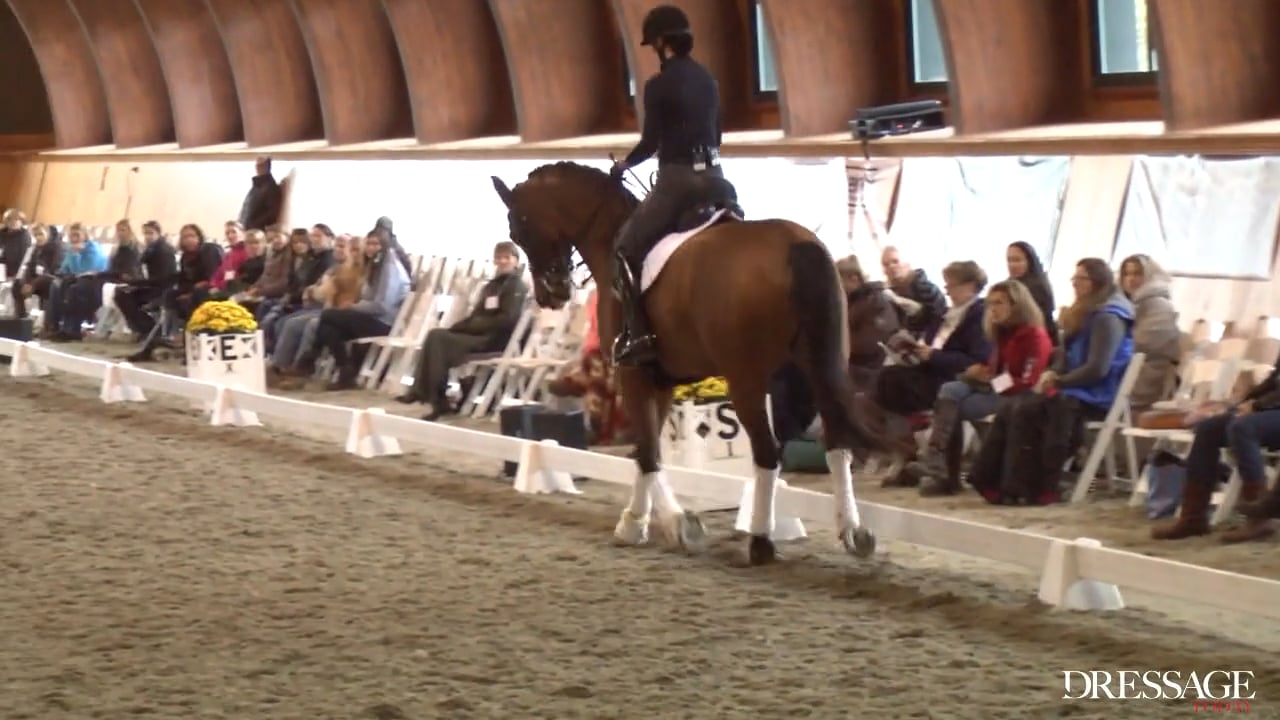 Symposium: Day 2, Intermediaire I/II | Steffen Peters & Scott Hassler