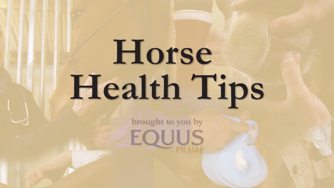 Measuring Capillary Refill Time | Sina Parsaye