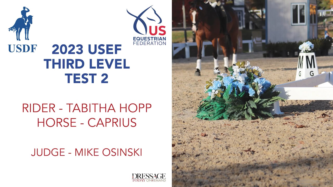 2023 Third Level Test 2 | Mike Osinski