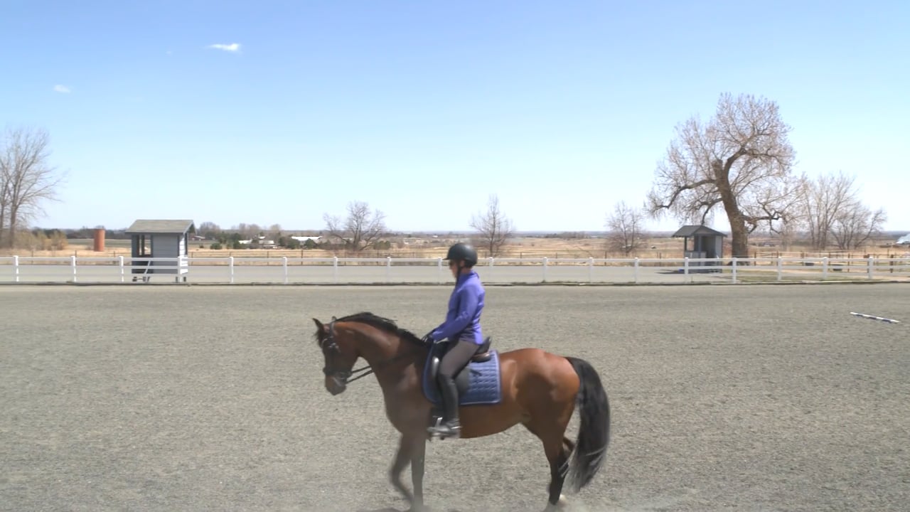 Backing to Improve Engagement | Monique Potts