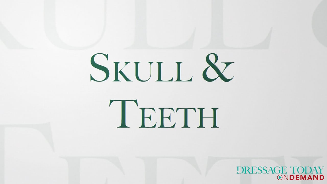 Bitting Expert On Horse Mouth Conformation | Stephanie Brown-Beamer