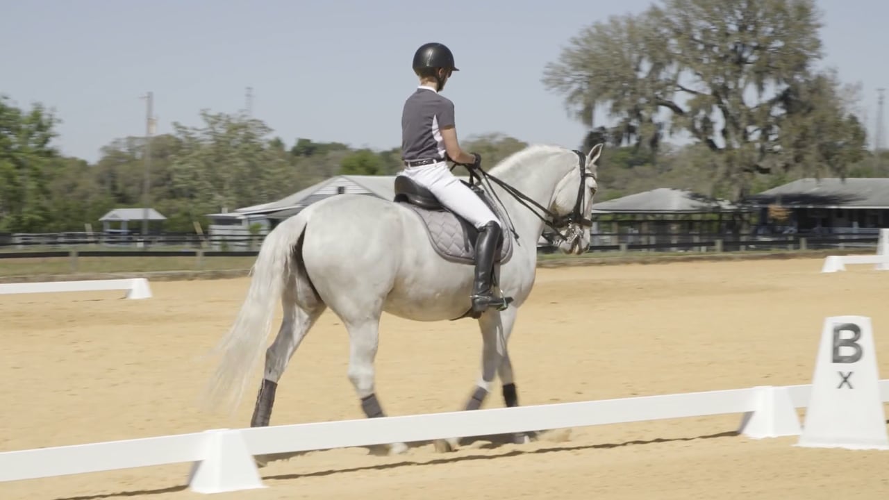 Adult Amateur Rider Biomechanics | Stephany Fish Crossman | PART 03