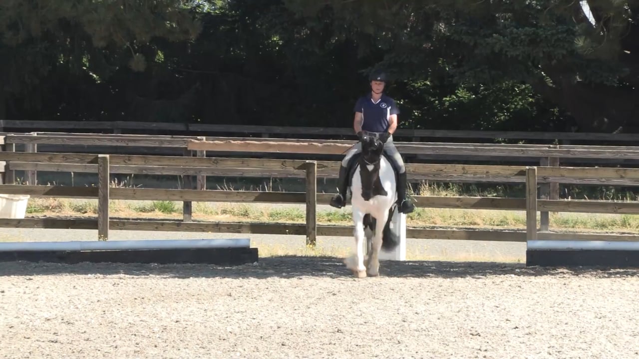 2023 Training Level Test 1 | Mike Osinski