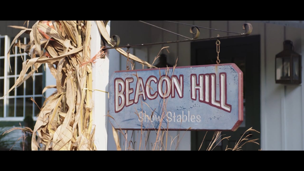 Behind the Scenes at Beacon Hill Show Stables | Stacia Madden