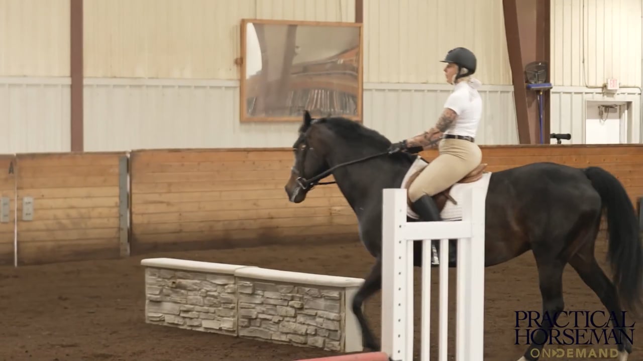 2’ to 2’3” Level – Introducing a Jump | Geoff Teall