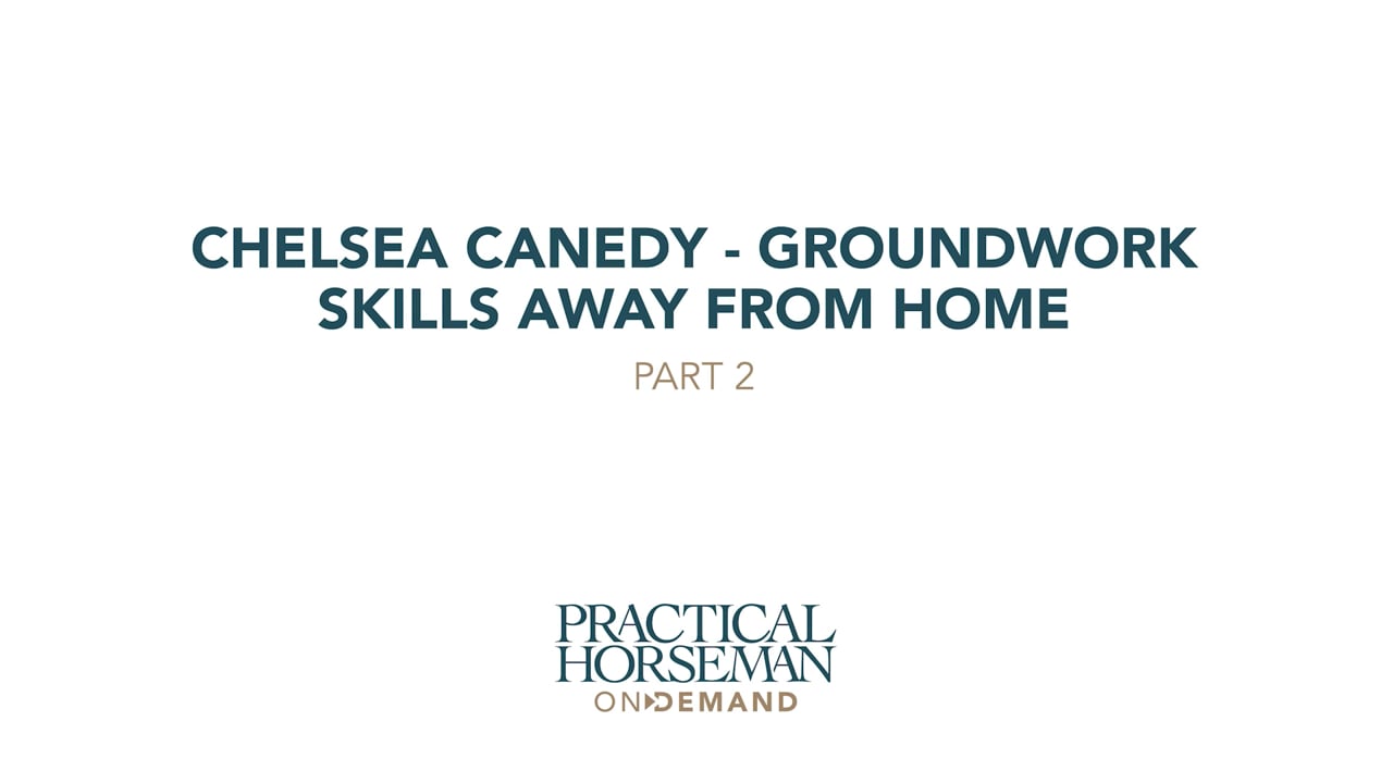 Basic Groundwork Skills Away From Home | Chelsea Canedy | PART 02