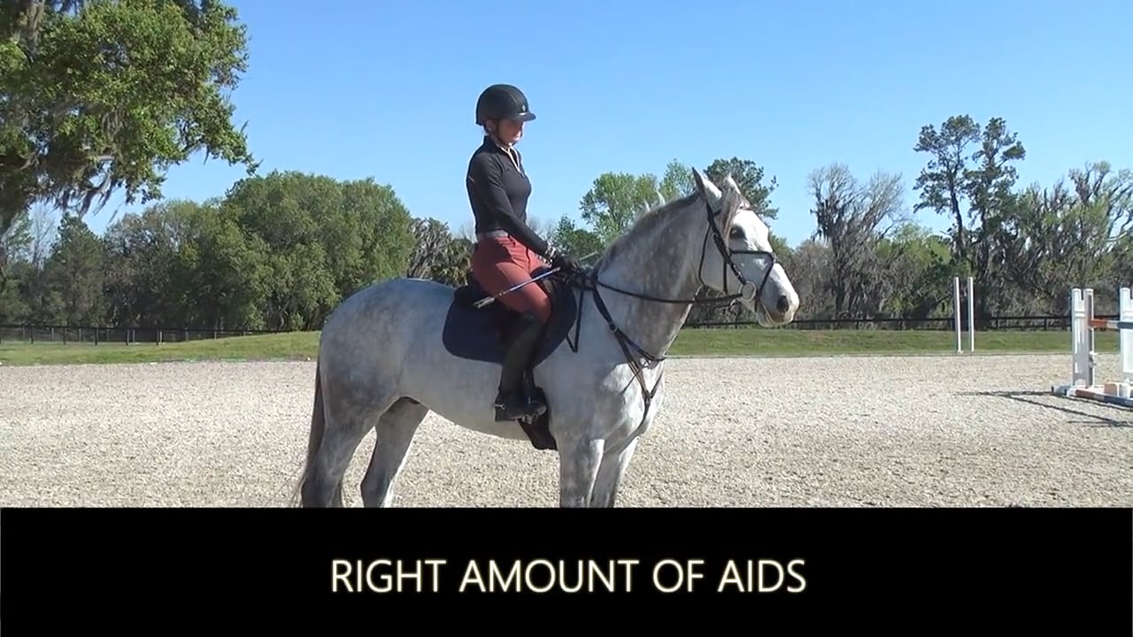 Right Amount of Aids | Sharon White